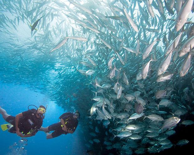 PADI Master Scuba Diver Course