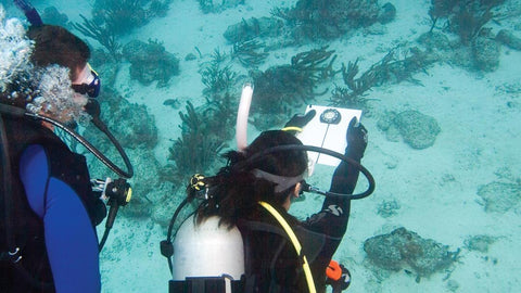Underwater Navigator Specialty Course